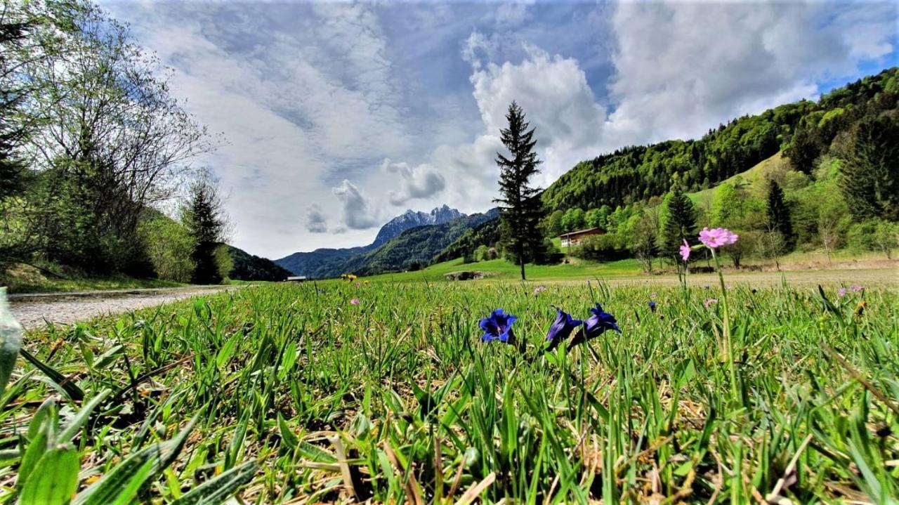 Haus Christl Am Horn Apartment Sankt Johann in Tirol
